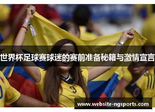 世界杯足球赛球迷的赛前准备秘籍与激情宣言