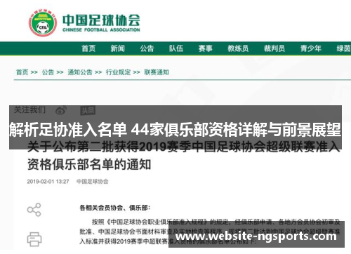 解析足协准入名单 44家俱乐部资格详解与前景展望