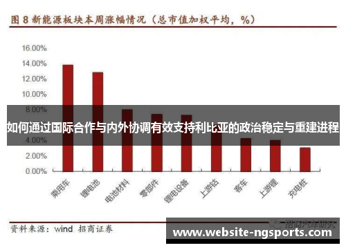 如何通过国际合作与内外协调有效支持利比亚的政治稳定与重建进程