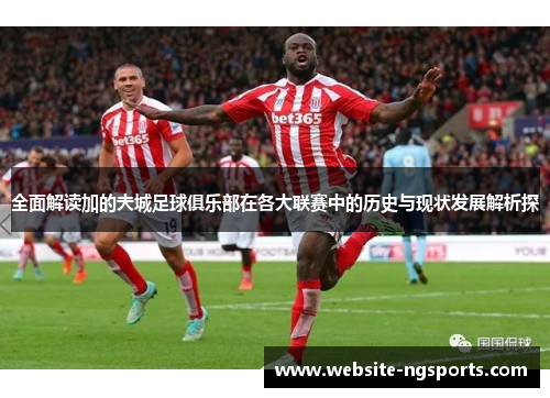 全面解读加的夫城足球俱乐部在各大联赛中的历史与现状发展解析探