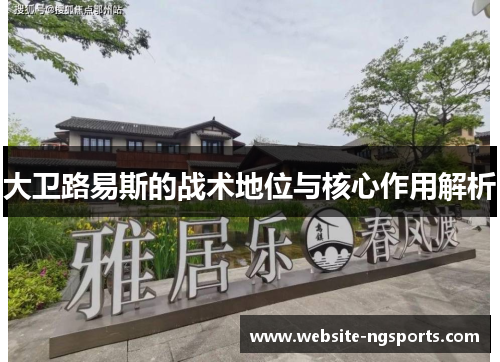 大卫路易斯的战术地位与核心作用解析