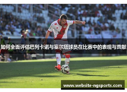 如何全面评估巴列卡诺与塞尔塔球员在比赛中的表现与贡献