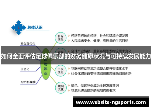 如何全面评估足球俱乐部的财务健康状况与可持续发展能力